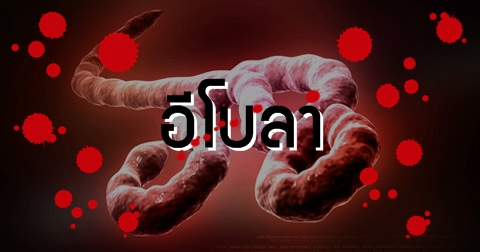 คลินิกนริทร์-พิลัมภา ความงามเหนือระดับที่ใครก็สั่งได้ ข่าว อีโบลาไวรัส...ไวรัสอันตรายที่ควรรู้