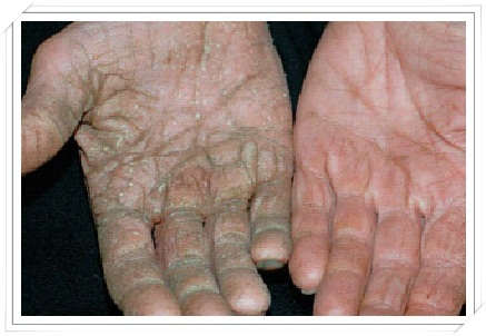 a430.jpg